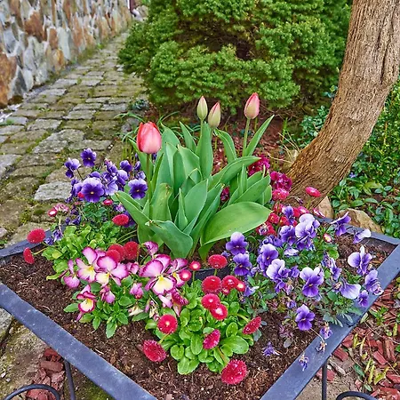 Habitación en casa particular Potoki *